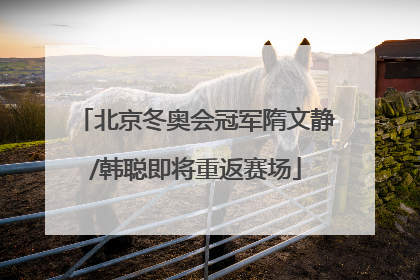 北京冬奥会冠军隋文静/韩聪即将重返赛场