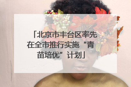 北京市丰台区率先在全市推行实施“青苗培优”计划