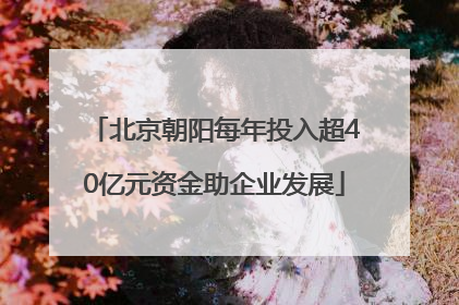 北京朝阳每年投入超40亿元资金助企业发展