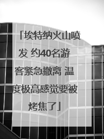 埃特纳火山喷发 约40名游客紧急撤离 温度极高感觉要被烤焦了