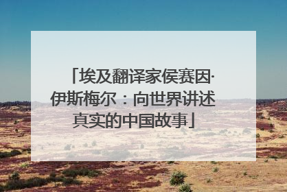 埃及翻译家侯赛因·伊斯梅尔：向世界讲述真实的中国故事