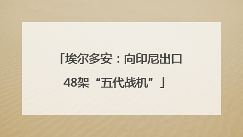 埃尔多安：向印尼出口48架“五代战机”