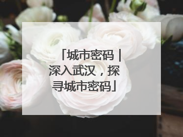 城市密码｜深入武汉，探寻城市密码