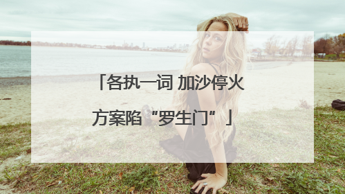 各执一词 加沙停火方案陷“罗生门”