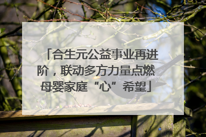 合生元公益事业再进阶，联动多方力量点燃母婴家庭“心”希望