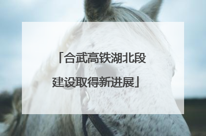 合武高铁湖北段建设取得新进展