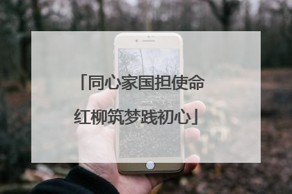 同心家国担使命 红柳筑梦践初心