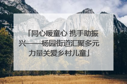 同心暖童心 携手助振兴——杨园街道汇聚多元力量关爱乡村儿童
