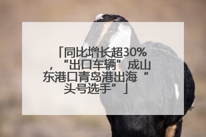 同比增长超30%，“出口车辆”成山东港口青岛港出海“头号选手”