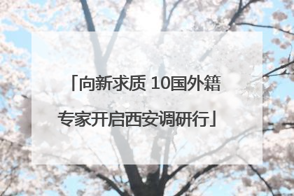 向新求质 10国外籍专家开启西安调研行