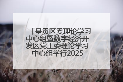 呈贡区委理论学习中心组暨数字经济开发区党工委理论学习中心组举行2025年第七次学习会议