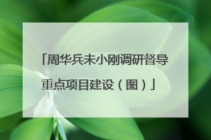 周华兵未小刚调研督导重点项目建设（图）