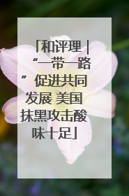 和评理｜“一带一路”促进共同发展 美国抹黑攻击酸味十足