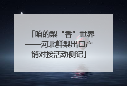 咱的梨“香”世界——河北鲜梨出口产销对接活动侧记