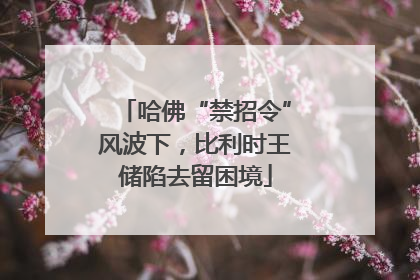 哈佛“禁招令”风波下，比利时王储陷去留困境