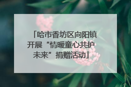 哈市香坊区向阳镇开展“情暖童心共护未来”捐赠活动