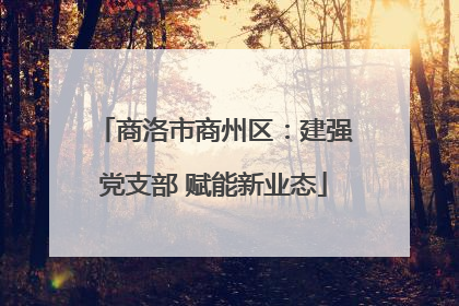商洛市商州区：建强党支部 赋能新业态