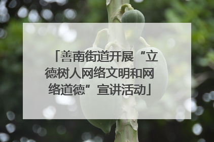 善南街道开展“立德树人网络文明和网络道德”宣讲活动