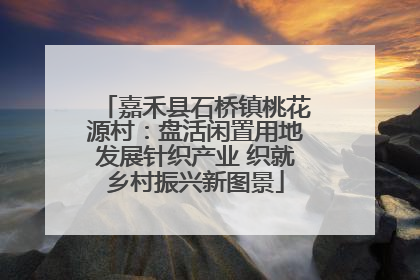 嘉禾县石桥镇桃花源村：盘活闲置用地发展针织产业 织就乡村振兴新图景