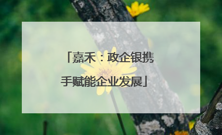 嘉禾：政企银携手赋能企业发展