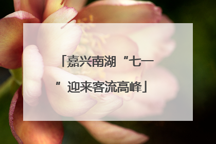嘉兴南湖“七一”迎来客流高峰