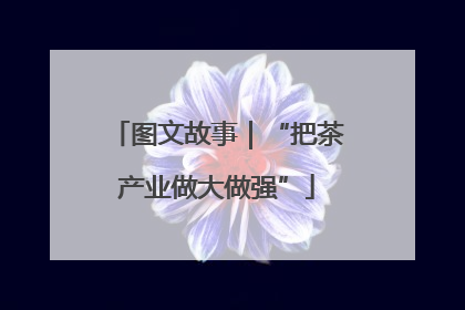 图文故事｜“把茶产业做大做强”