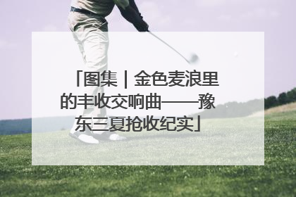 图集｜金色麦浪里的丰收交响曲——豫东三夏抢收纪实