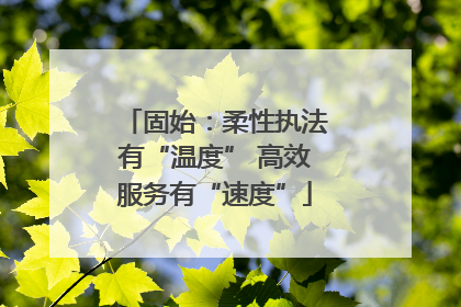 固始：柔性执法有“温度” 高效服务有“速度”