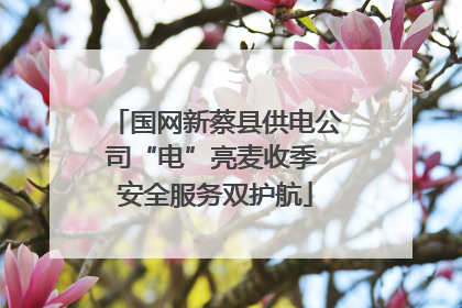 国网新蔡县供电公司“电”亮麦收季 安全服务双护航
