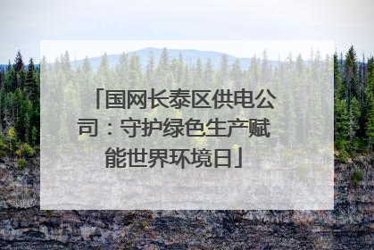 国网长泰区供电公司：守护绿色生产赋能世界环境日