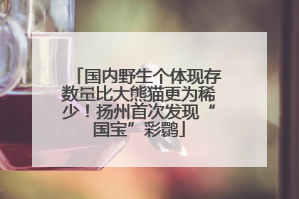 国内野生个体现存数量比大熊猫更为稀少！扬州首次发现“国宝”彩鹮