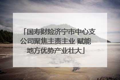 国寿财险济宁市中心支公司聚焦主责主业 赋能地方优势产业壮大