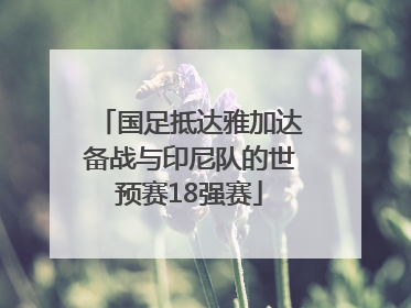 国足抵达雅加达备战与印尼队的世预赛18强赛