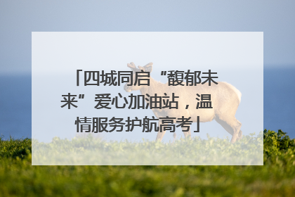 四城同启“馥郁未来”爱心加油站，温情服务护航高考