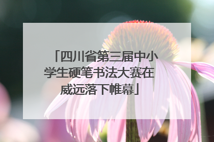 四川省第三届中小学生硬笔书法大赛在威远落下帷幕