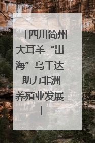 四川简州大耳羊“出海”乌干达 助力非洲养殖业发展