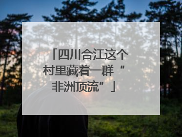 四川合江这个村里藏着一群“非洲顶流”