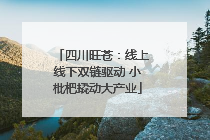 四川旺苍：线上线下双链驱动 小枇杷撬动大产业