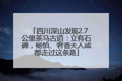 四川深山发现2.7公里茶马古道：立有石碑，杨慎、奢香夫人或都走过这条路