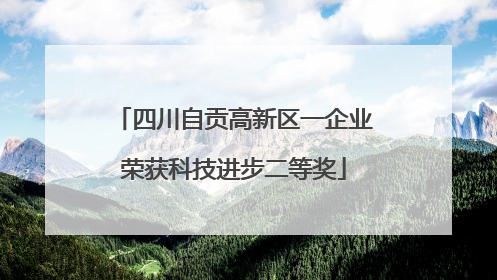 四川自贡高新区一企业荣获科技进步二等奖