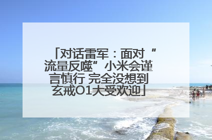 对话雷军：面对“流量反噬”小米会谨言慎行 完全没想到玄戒O1大受欢迎