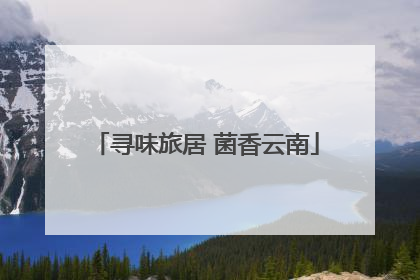 寻味旅居 菌香云南