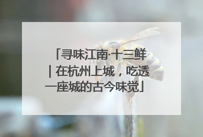 寻味江南·十三鲜｜在杭州上城，吃透一座城的古今味觉