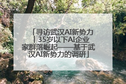 寻访武汉AI新势力︱35岁以下AI企业家群落崛起——基于武汉AI新势力的调研