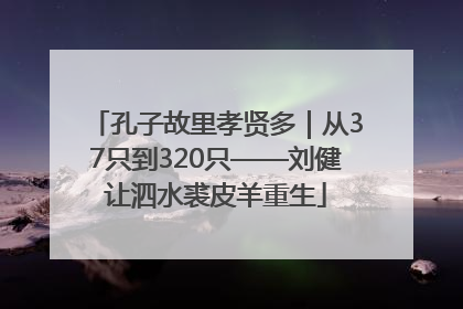孔子故里孝贤多｜从37只到320只——刘健让泗水裘皮羊重生