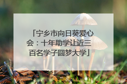 宁乡市向日葵爱心会：十年助学让近三百名学子圆梦大学