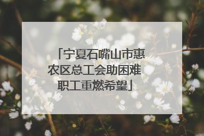 宁夏石嘴山市惠农区总工会助困难职工重燃希望