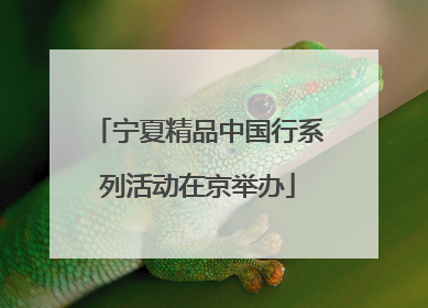 宁夏精品中国行系列活动在京举办