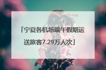 宁夏各机场端午假期运送旅客7.29万人次