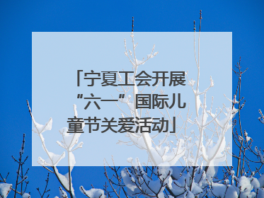 宁夏工会开展“六一”国际儿童节关爱活动